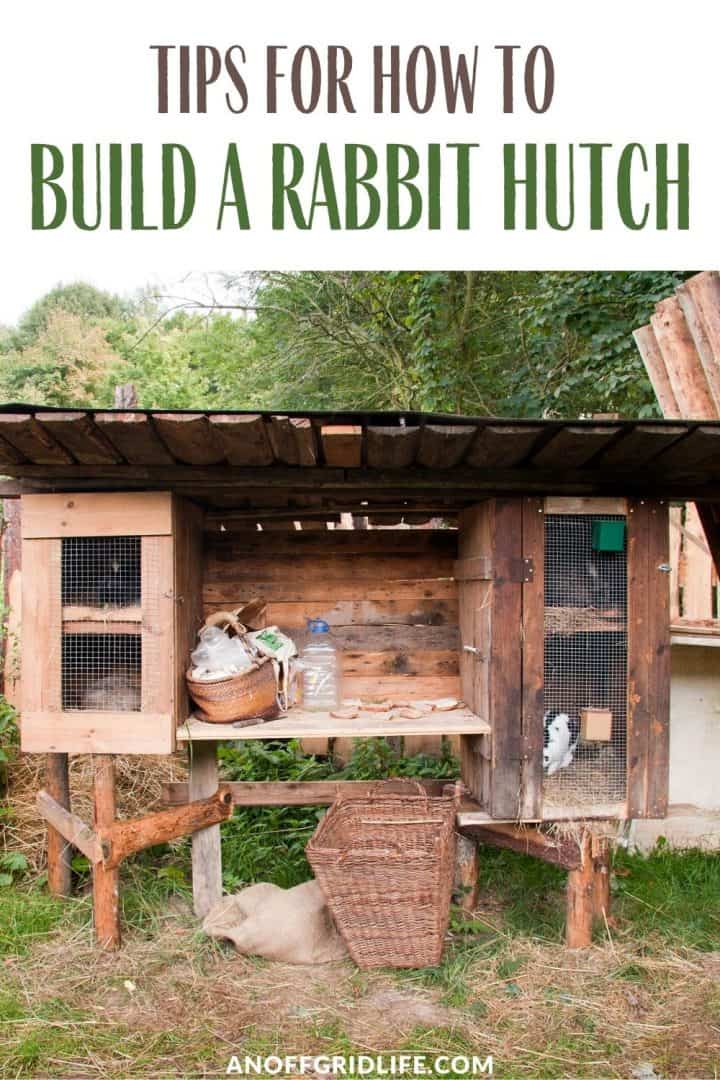 a pinterest image of a wooden rabbit hutch on posts, with text overlay "tips for how to build a rabbit hutch"