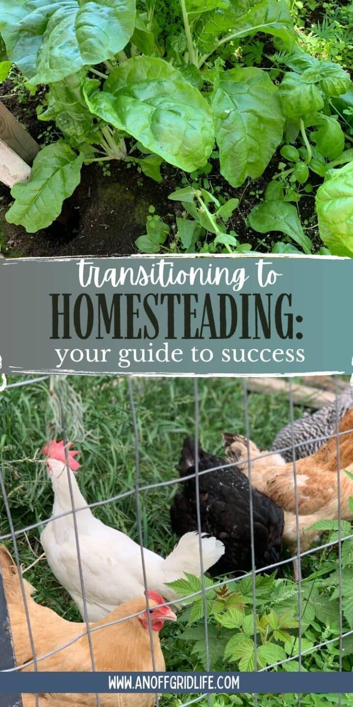 Homesteading your guide to success.