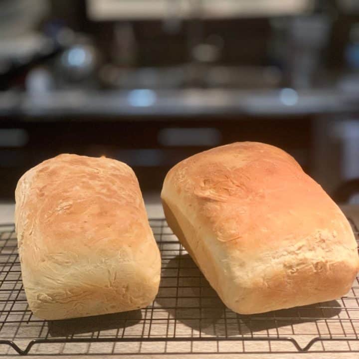 Two Loaves of Homemade Sandwich Bread on a cooling rack