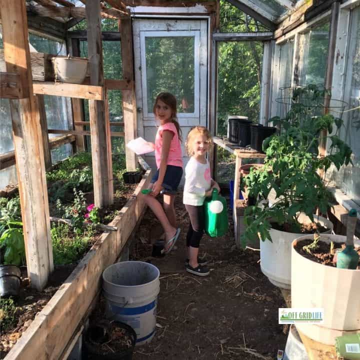Kids in greenhouse with vegetables and herbs