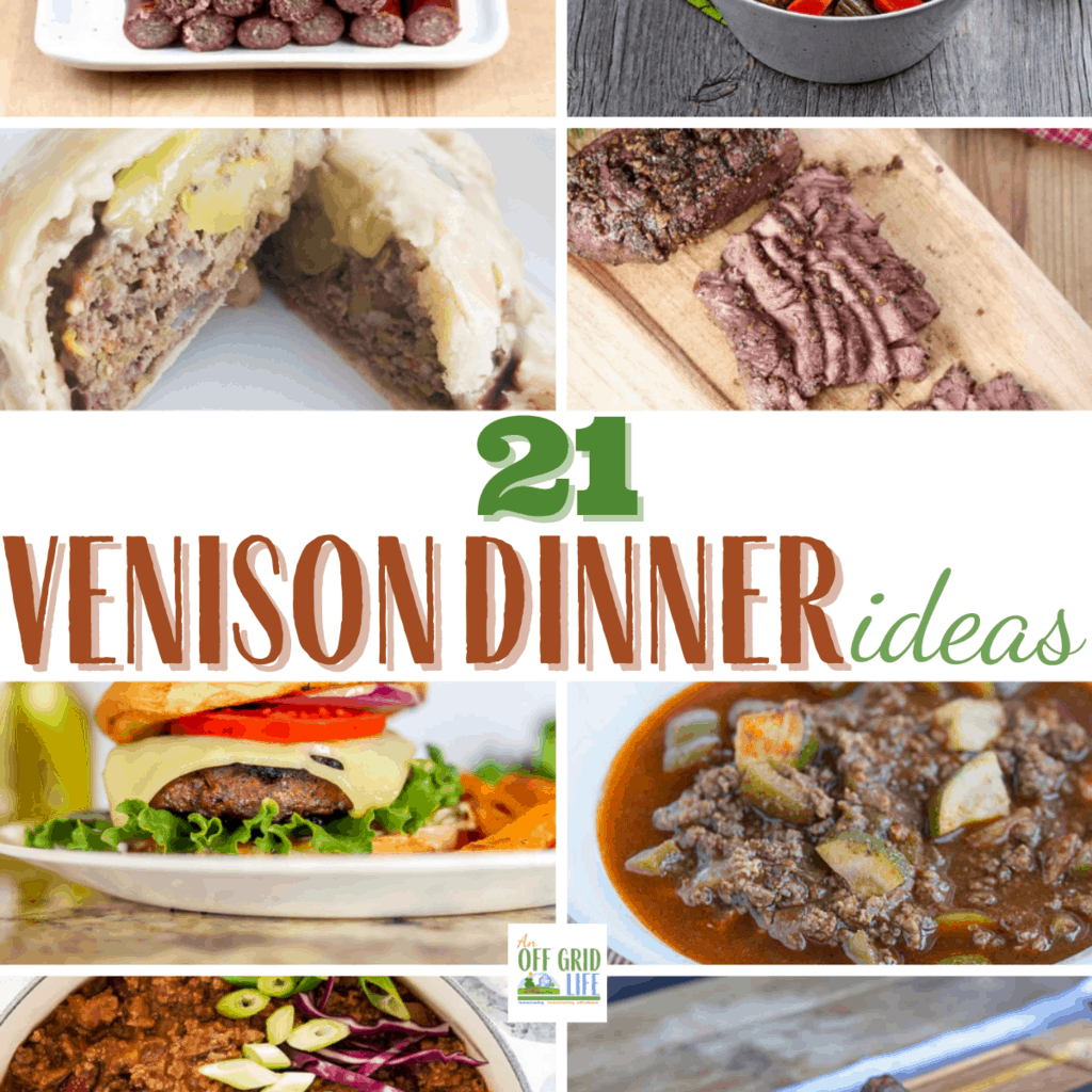 21 Venison Dinner Ideas