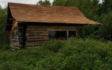 an image of a brown log cabin in a green forest