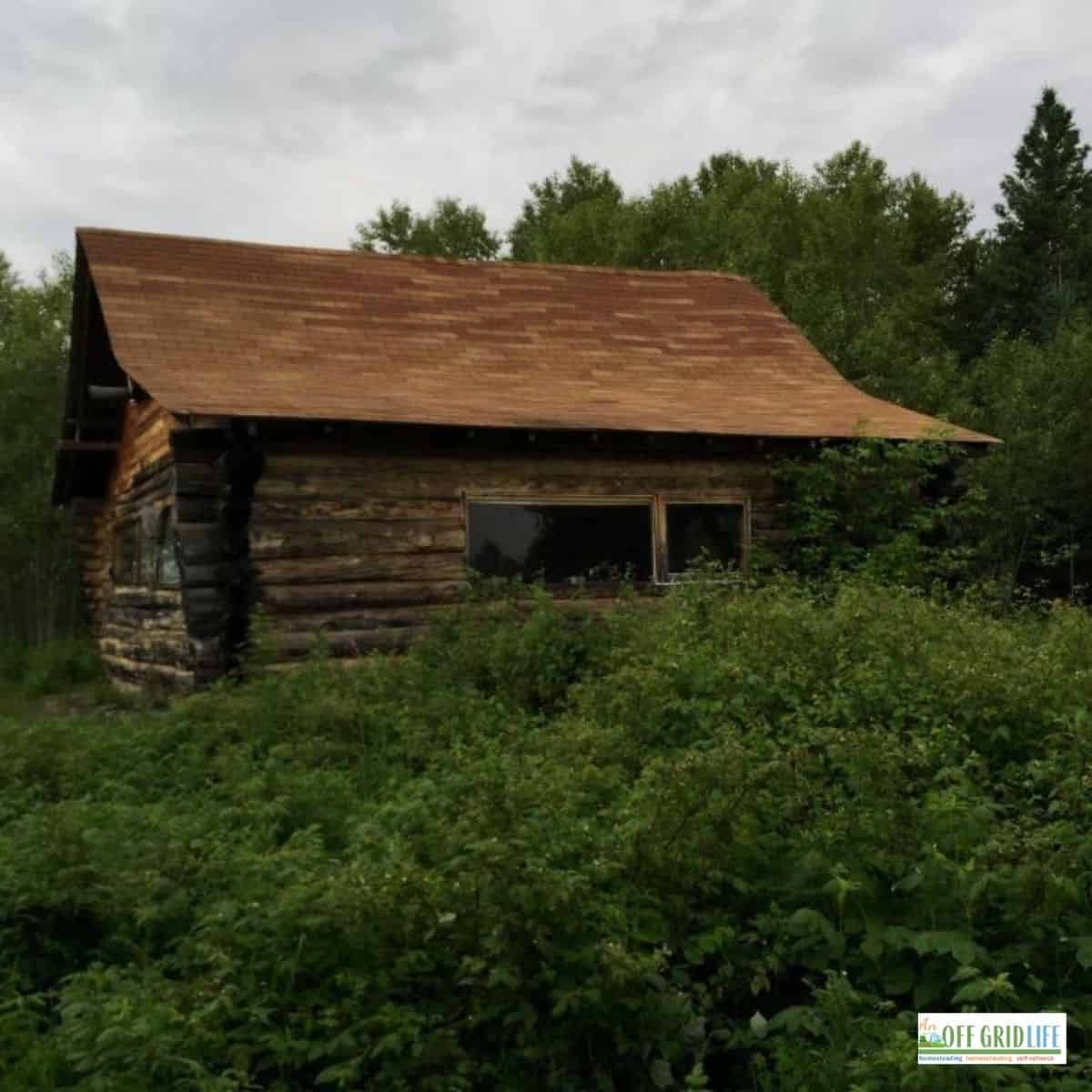 an image of a brown log cabin in a green forest