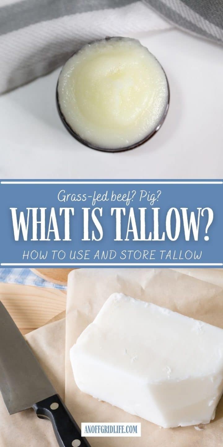 A bowl of tallow sits above a sign asking "What is Tallow? How to Use and Store Tallow" with a white block of tallow and a knife below.