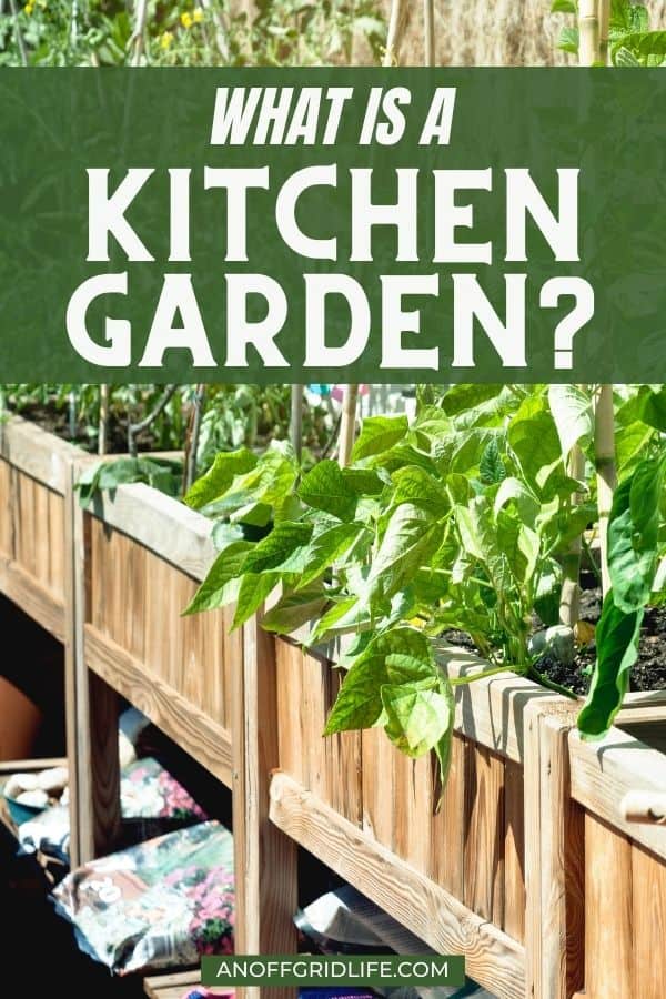 a pinterest image of a kitchen garden in raised wooden boxes with text overlay "what is a kitchen garden?"
