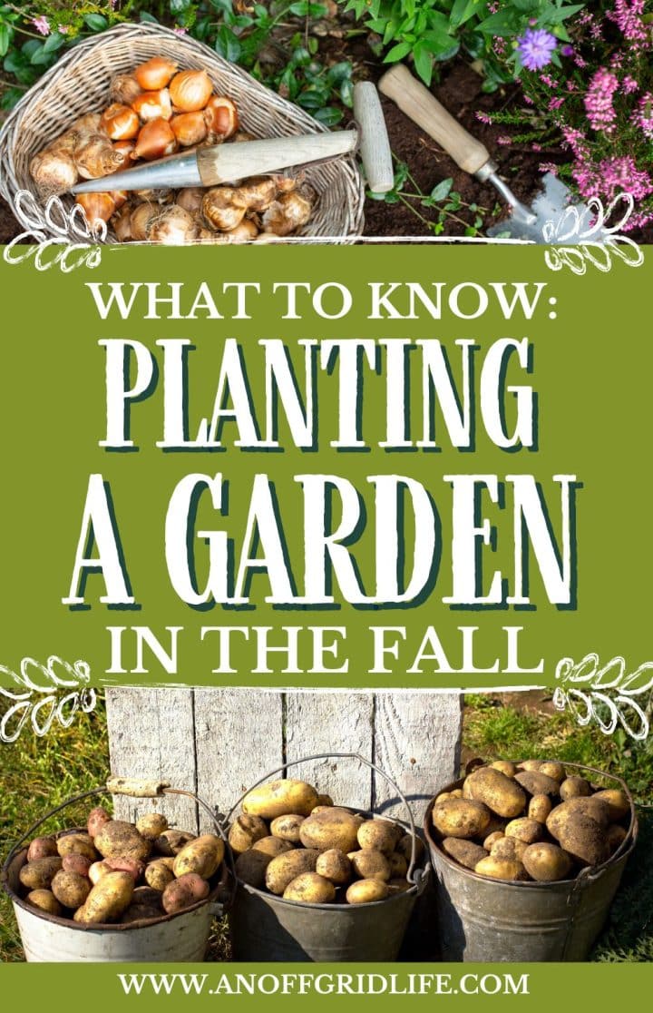 Text 'What to Know: Planting a Garden in the Fall' with images of harvested onions and potatoes. Website URL www.anoffgridlife.com is shown at the bottom.