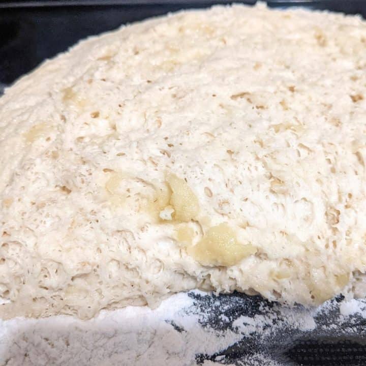 Whole Grain Artisan Bread Recipe 4