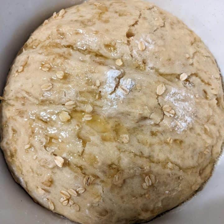 Whole Grain Artisan Bread Recipe 6