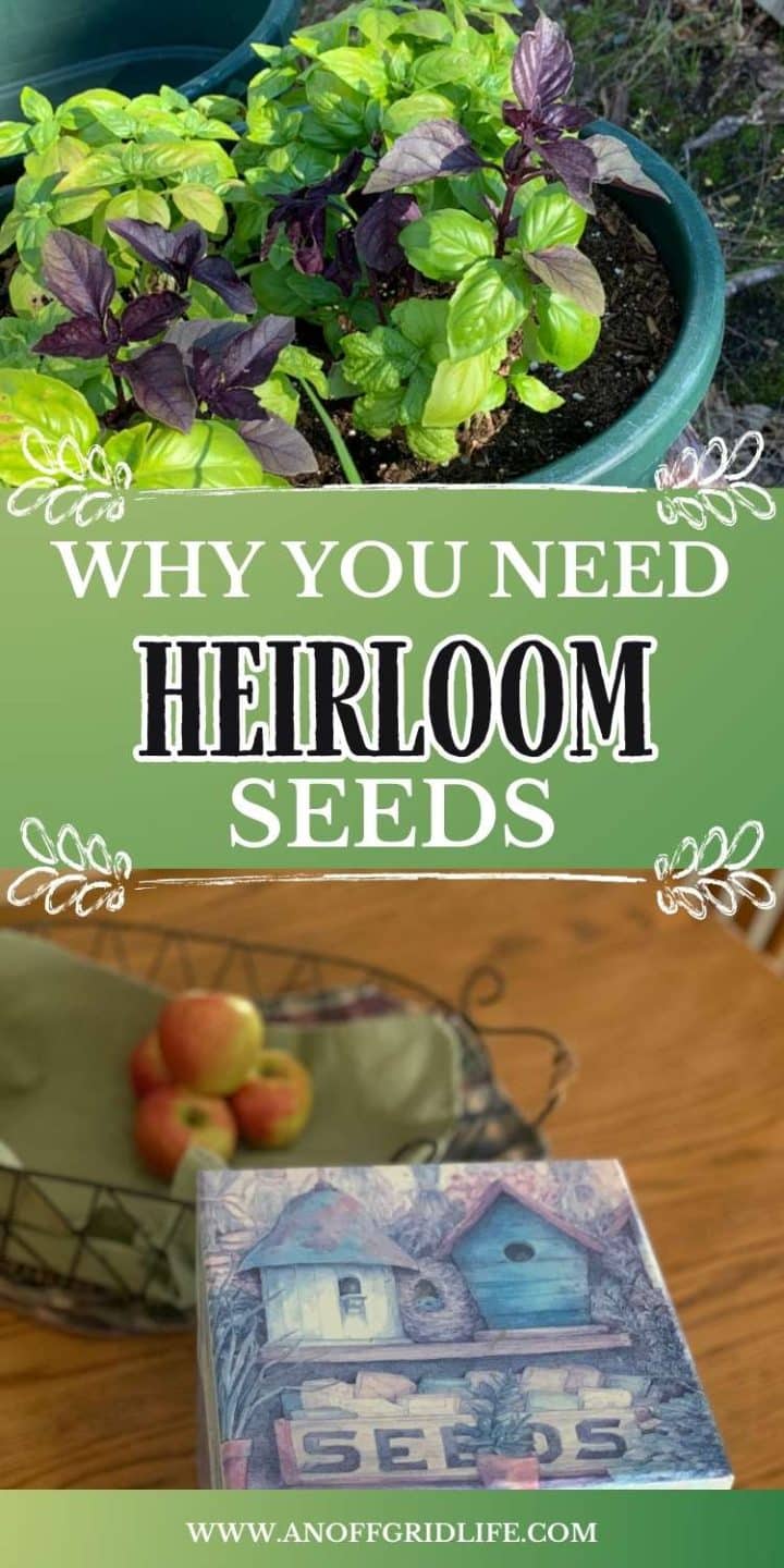 A potted plant with a plant in it.