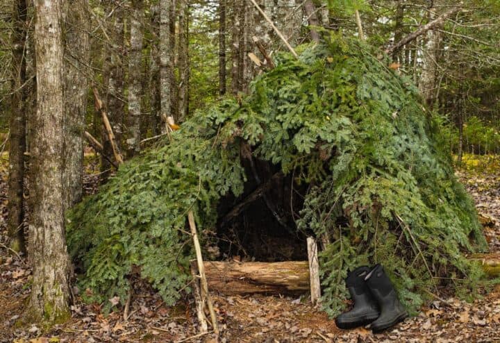 Wilderness survival shelter