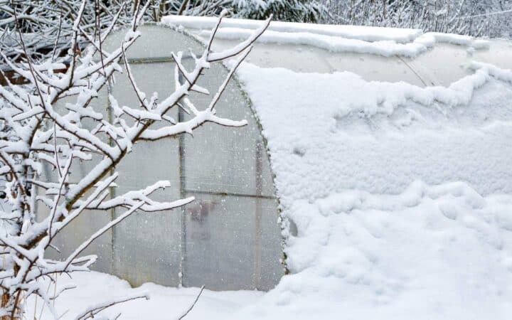 A greenhouse covered in snow.