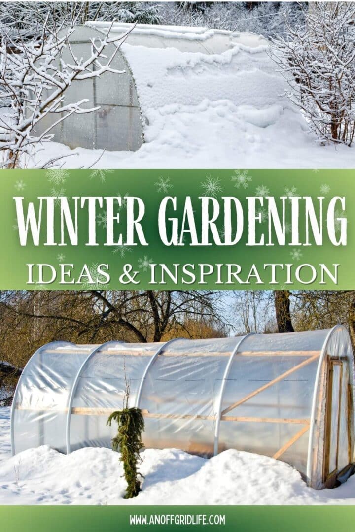 Winter gardening ideas and inspiration.