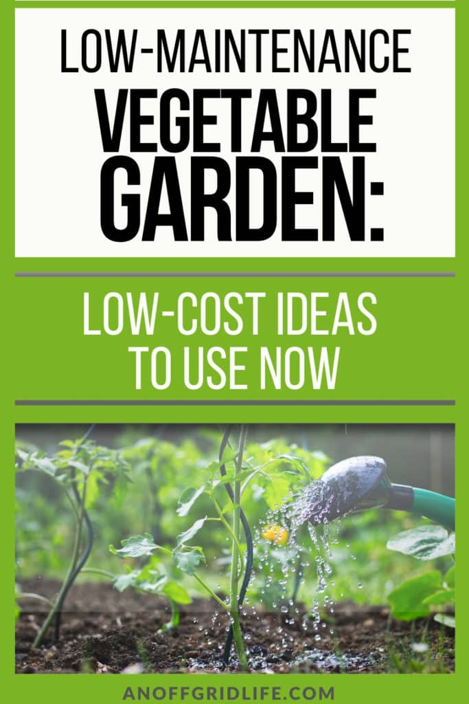 Text overlay Low-Maintenance Vegetable Garden: Low-Cost Ideas to Use Now