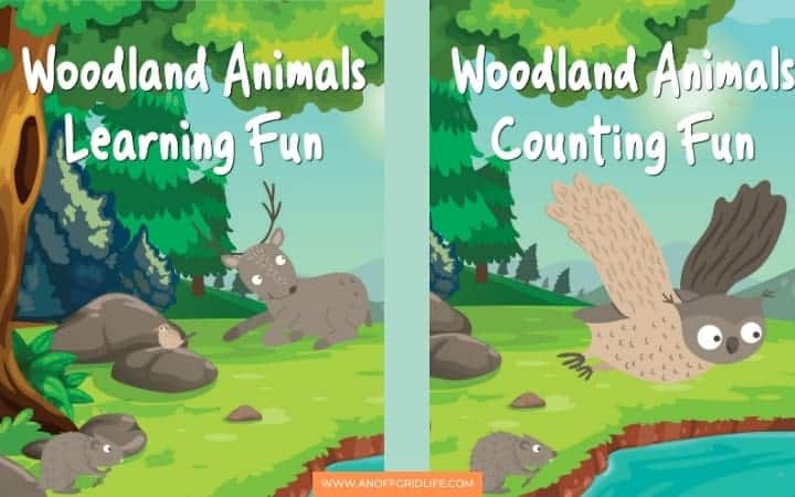 Two illustrated book covers: one shows a deer and two hedgehogs by trees and rocks, the other features an owl flying over a pond. Both have titles about woodland animals and learning—a perfect fit for a woodland animals preschool theme.