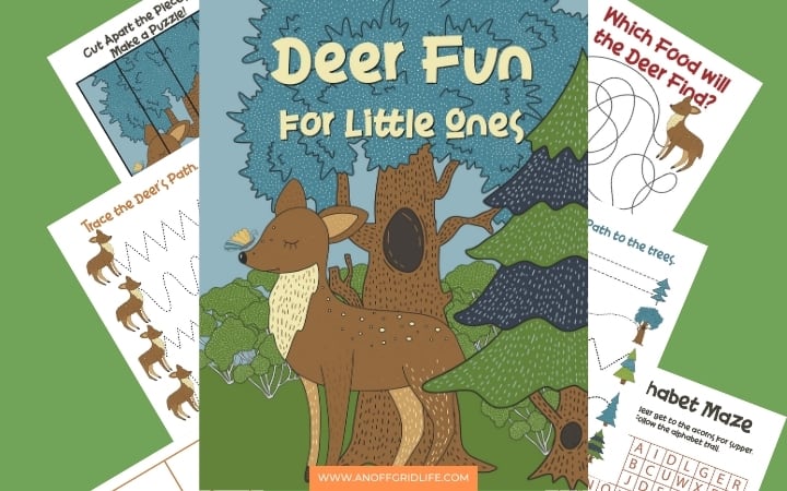 Deer Fun for Little Ones text overlay and animated graphic