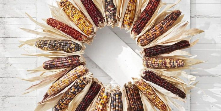 A wreath made from dried multicolored Indian corn cobs arranged in a circle with husks fanned out, displayed on a white wooden surface—perfect for unique harvest gift ideas.