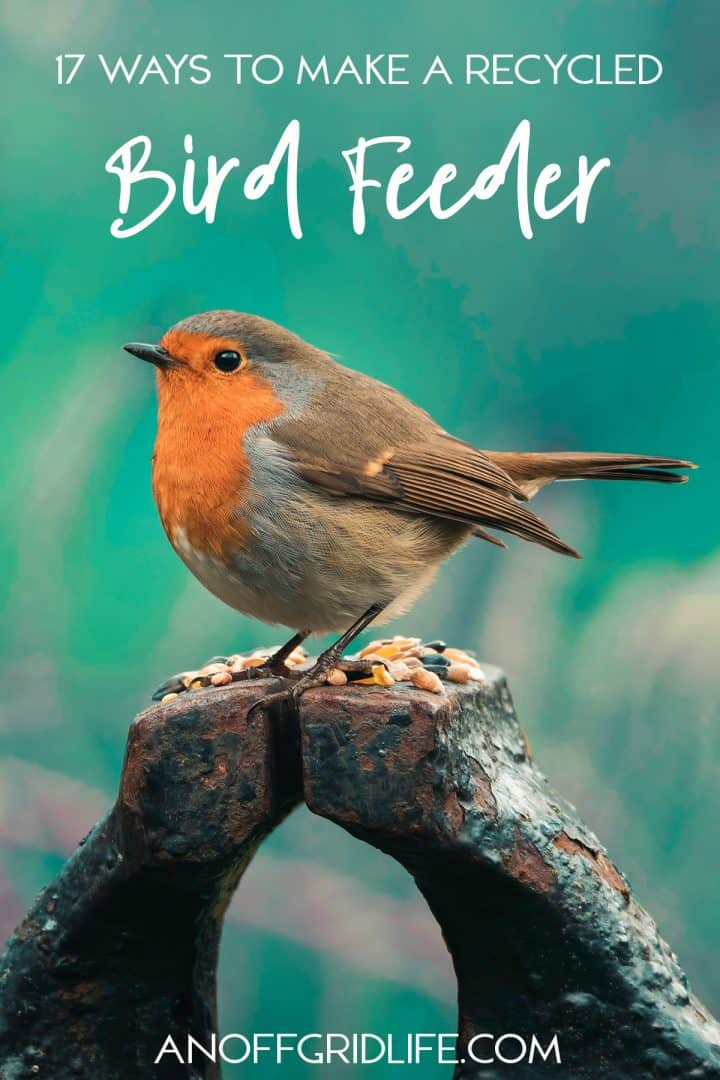 17 Ways to Make a Recycled Bird Feeder