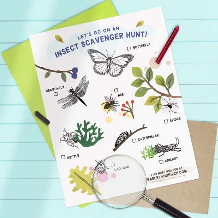insect hunt printable