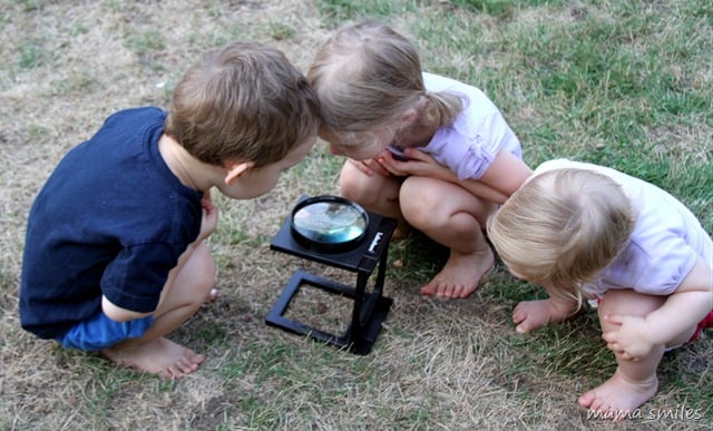 children looking at moth through magnifying glass