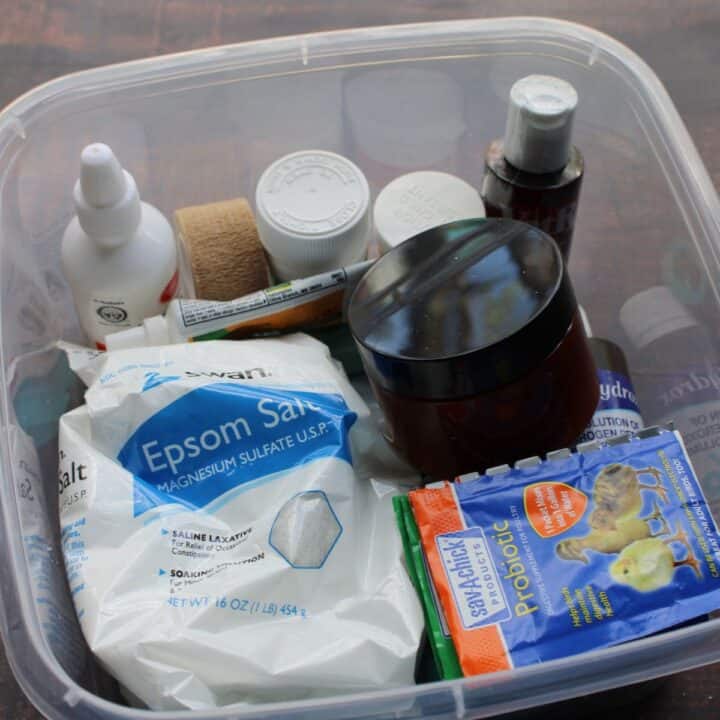 Chicken first aid kit items in container.