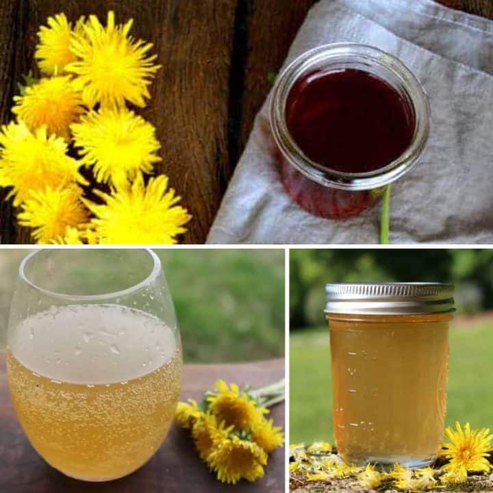 Square collage of dandelion recipe ideas.