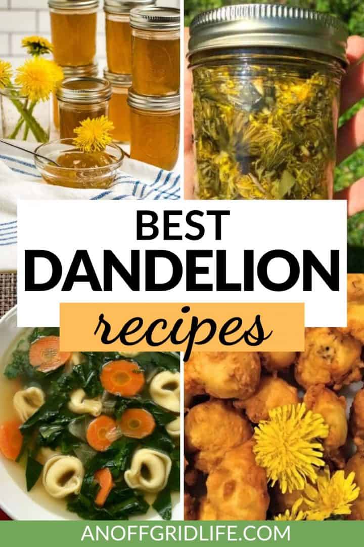 pinterest collage of dandelion recipes