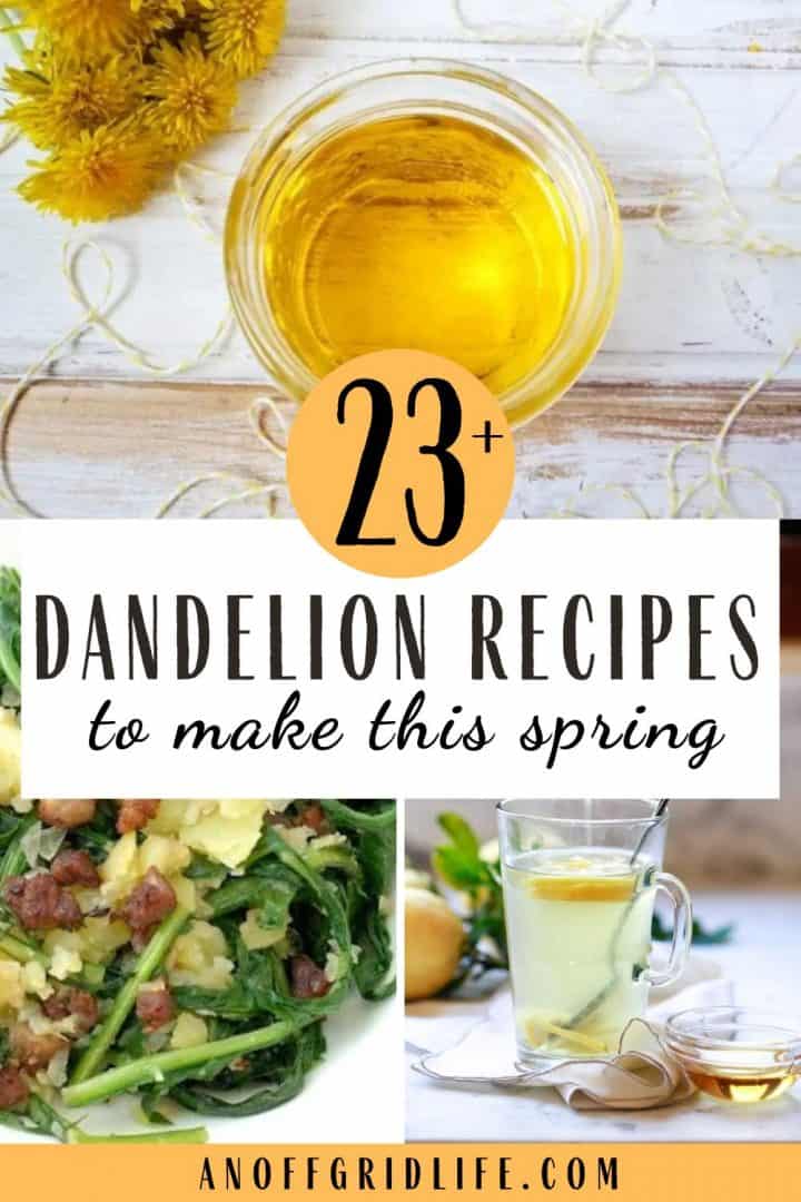 pinterest collage of dandelion recipes to make for spring