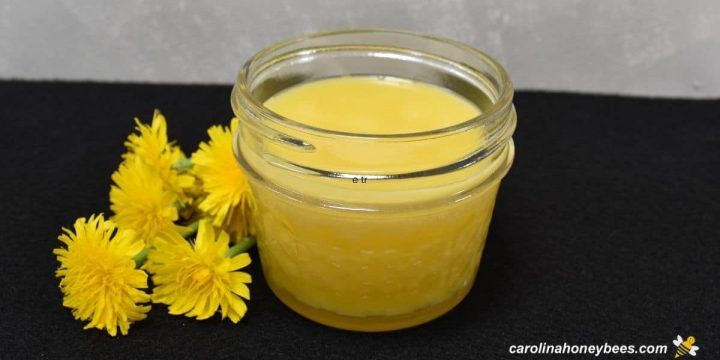 jar of dandelion salve