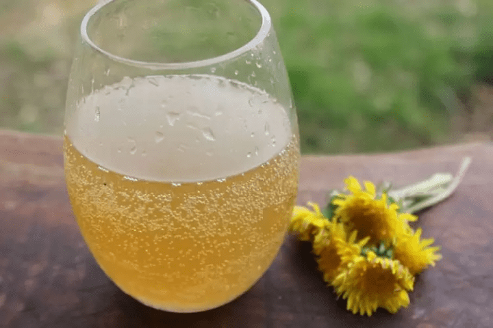 dandelion soda in small glass