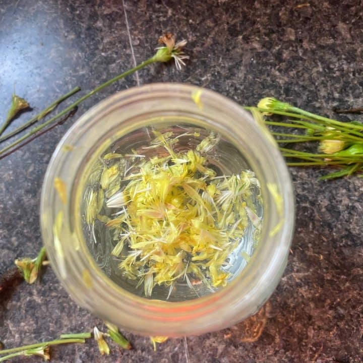 A jar filled with yellow dandelion flowers and leaves.