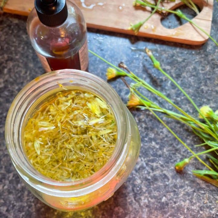 Dandelion flower and tea in a mason jar.