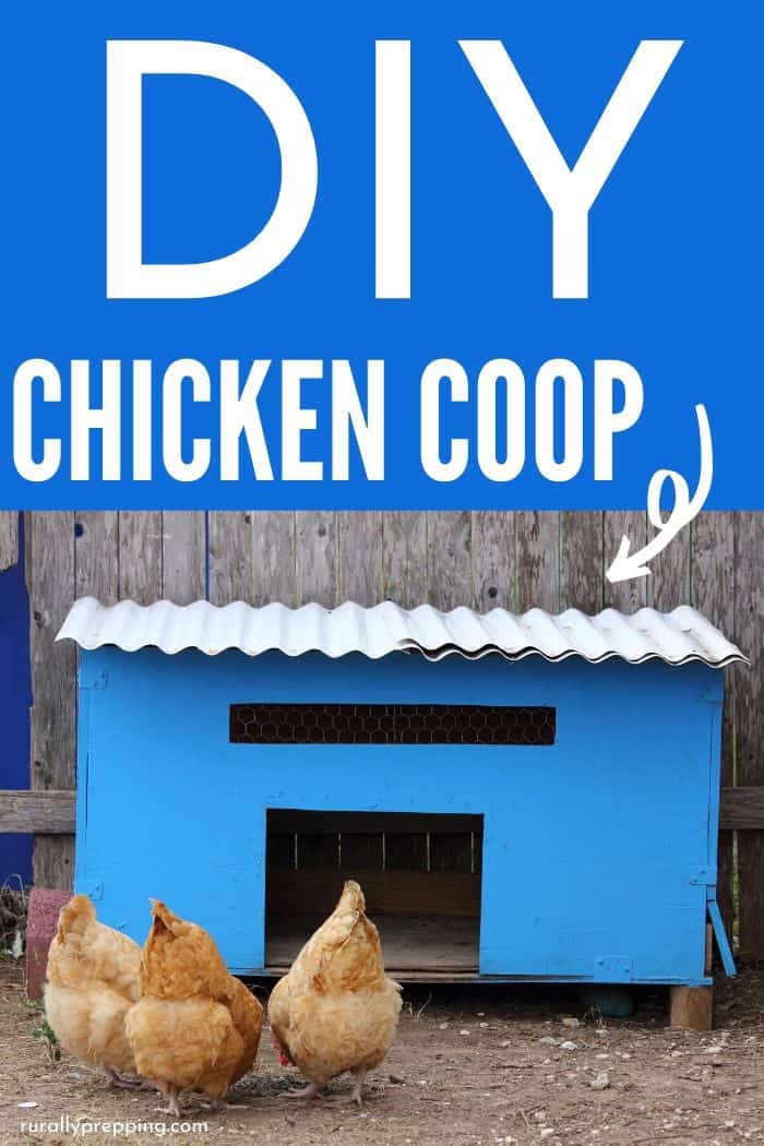 Three chickens stand outside a small, bright blue DIY chicken coops structure with a corrugated white roof and a rectangular opening, set against a wooden fence. Text reads “DIY Chicken Coop.”.