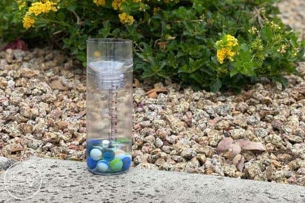 homemade rain gauge from plastic bottle