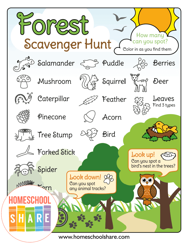 printable forest scavenger hunt
