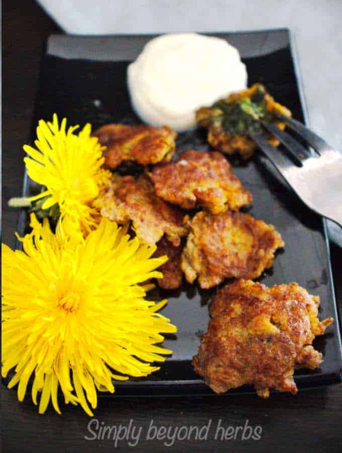 fried dandelion flower heads