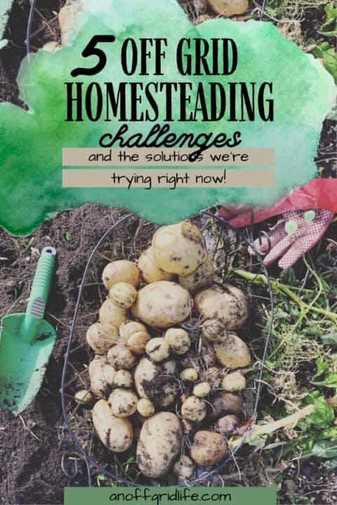 Off Grid Homesteading Challenges & Solutions