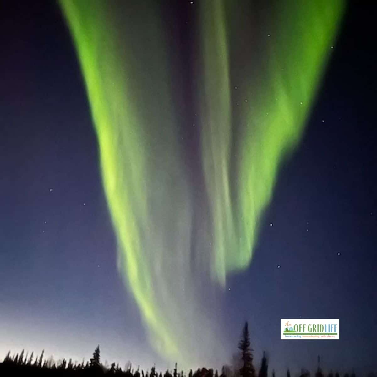 Outdoor Education Activities for Kids: 10 Ways to Explore the Night Sky