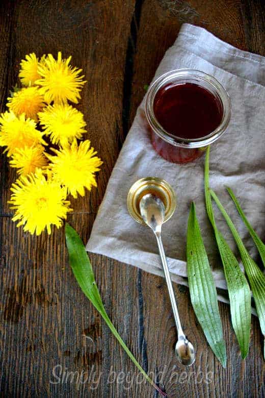 dandelion cough syrup
