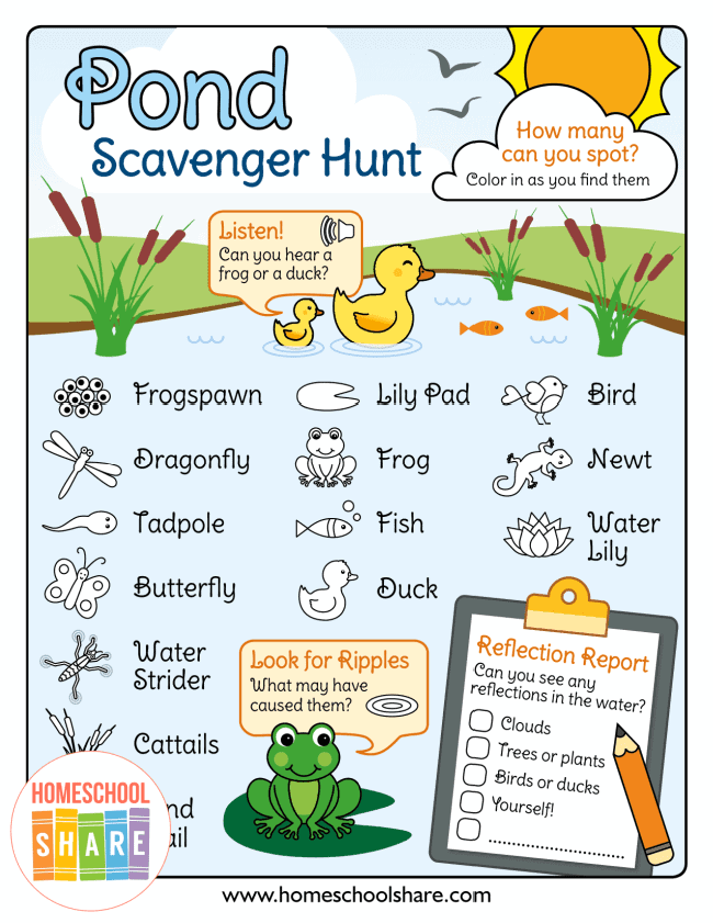 printable pond scavenger hunt
