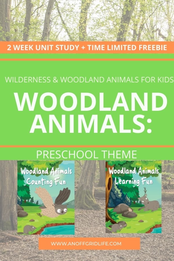 Promotional image for a 2-week woodland animals preschool theme unit study, featuring two book covers set against a charming woodland background.