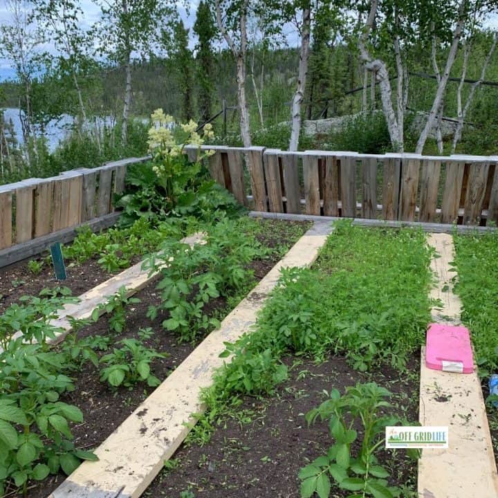 wood pallet fence around the garden